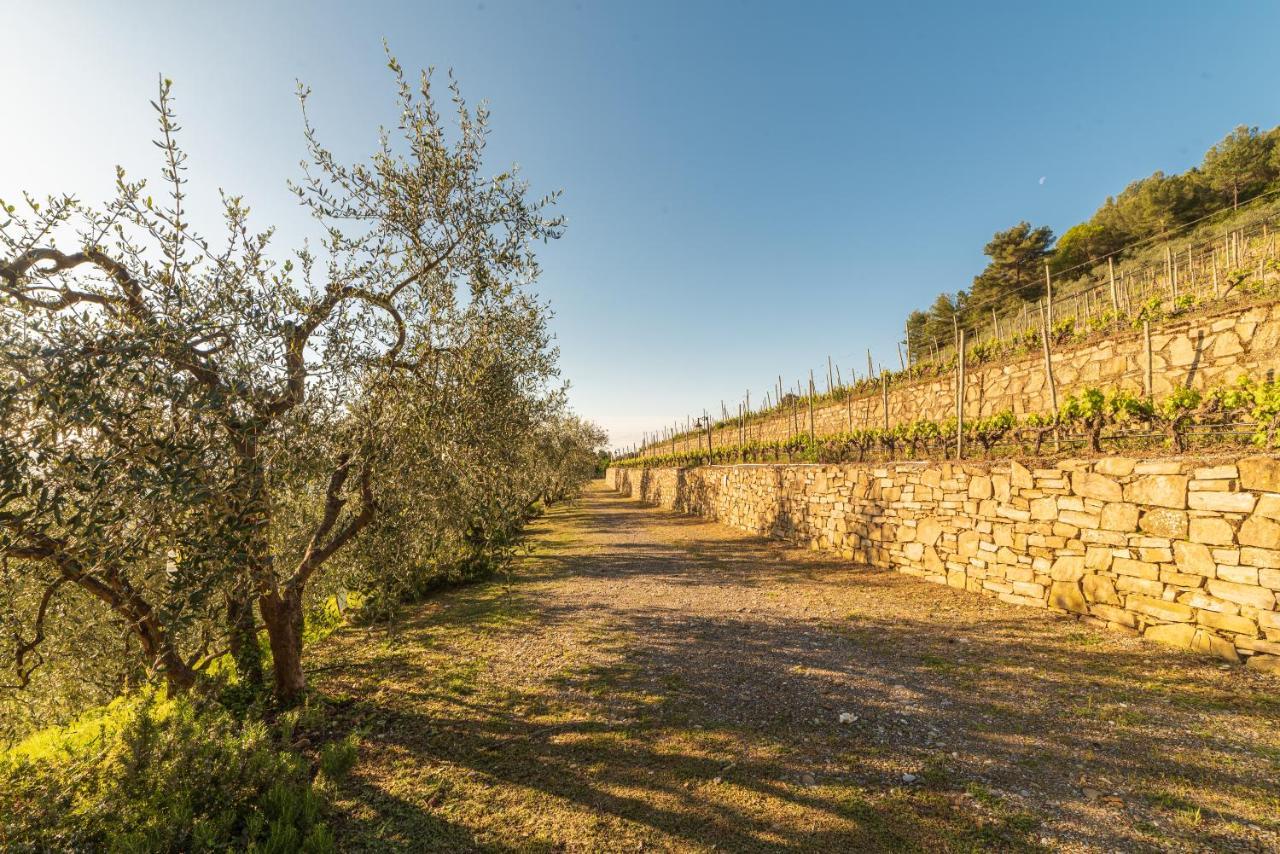 Casetta Mari Immersa In Un Vigneto Dolceacqua Exterior foto